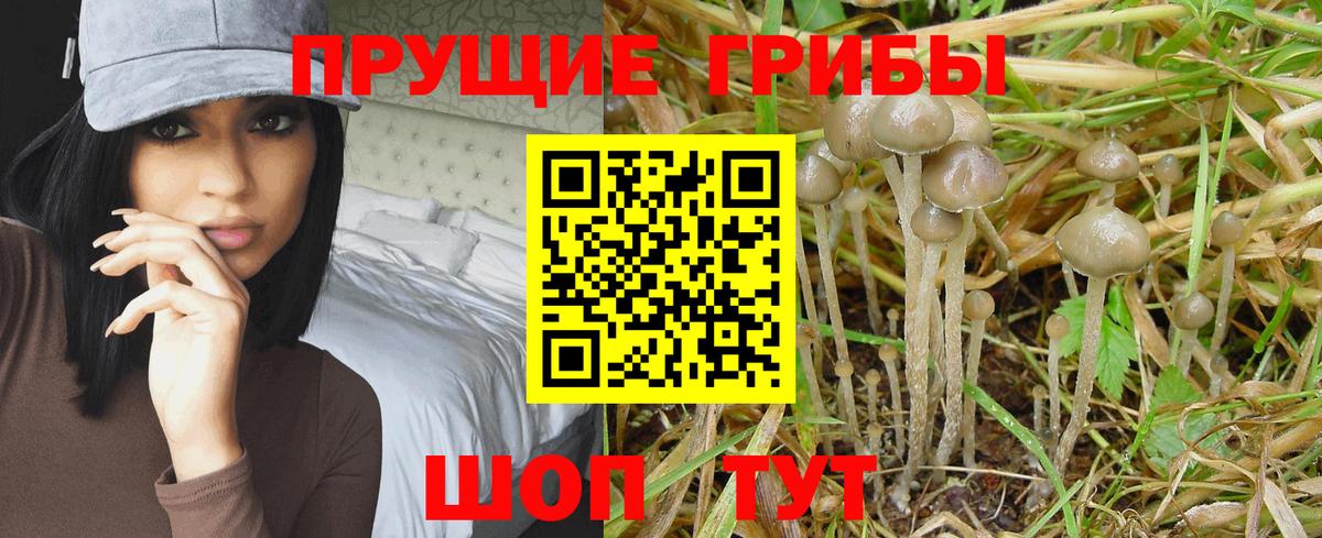 МАРИХУАНА  Вход с VPN  MDMA  Меф   АМФ кристаллы  Мефедрон  Марихуана  ГАШ  LSD-25  Тельмана  КОКАИН 