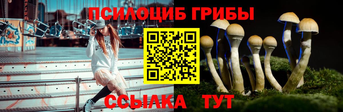 Галлюциногенные грибы Psilocybine cubensis  Вход с VPN  Тельмана 